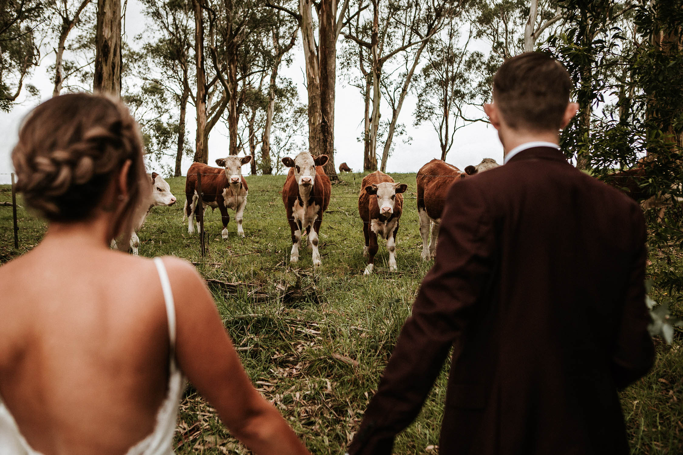 Southern Highlands Wedding Photographer - Mali Brae | Red Berry Photography